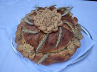 IMG_20240825_130128