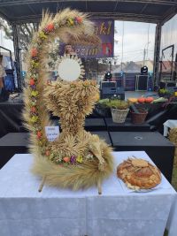 IMG_20240825_132906