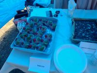 IMG_20240825_133110