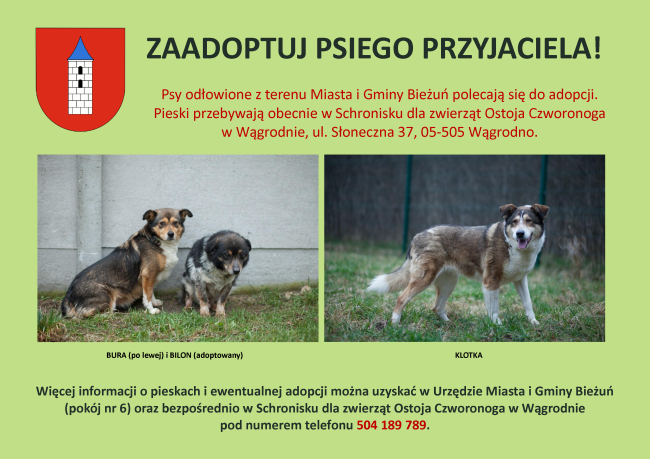 Plakat