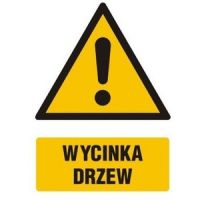 NOWE ZASADY WYCINKI DRZEW