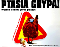 Ptasia grypa - apel Wojewody Mazowieckiego