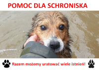 POTRZEBNA POMOC DLA SCHRONISKA OPIEKUJĄCEGO SIĘ CZWORONOGAMI PO POWODZI!