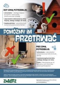 ZIMA TO TRUDNY CZAS DLA ZWIERZĄT!