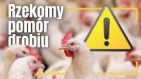 ROZPORZĄDZENIE WOJEWODY MAZOWIECKIEGO z dnia 30 maja 2025 r. w sprawie zwalczania rzekomego pomoru drobiu (ND) na terenie powiatu żuromińskiego oraz sierpeckiego