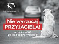 NIE KUPUJ TYLKO ADOPTUJ!